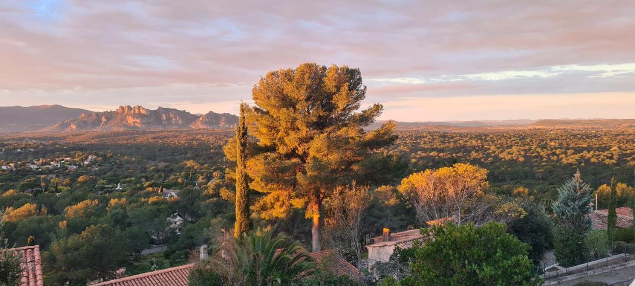 Corniche Du Paradis Roquebrune-sur Argens Luaran gambar